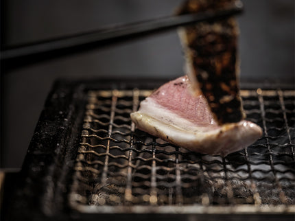 YAKINIKU Tischgrill Shichirin LARGE Rechteck