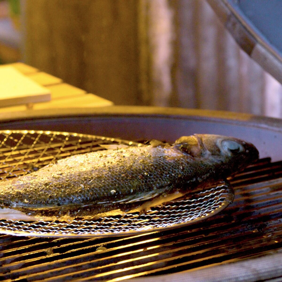 YAKINIKU Einweggitter für Shichirin MEDIUM rund (10 Stück)