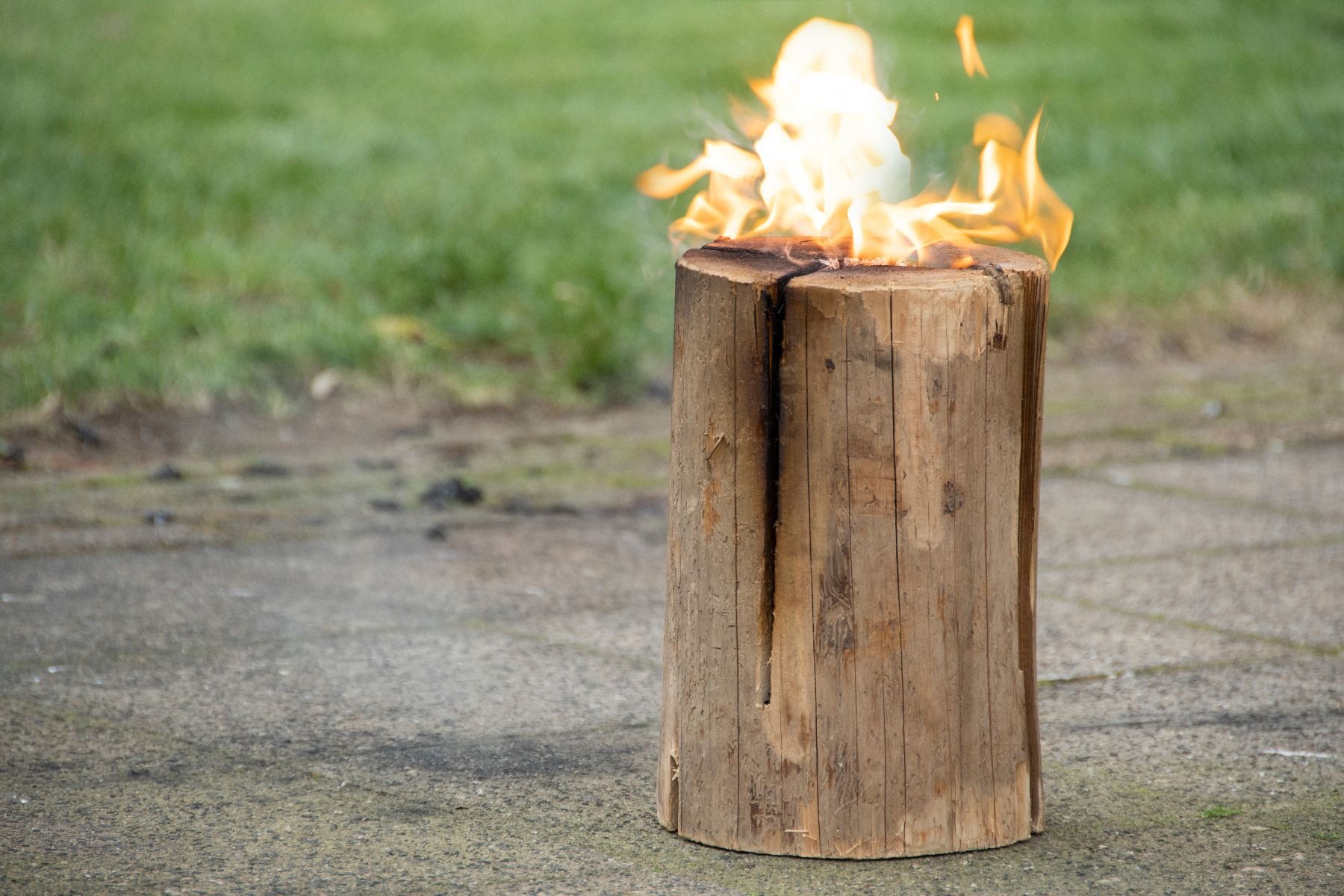 Schwedenfeuer Small (ca. 25 cm hoch)
