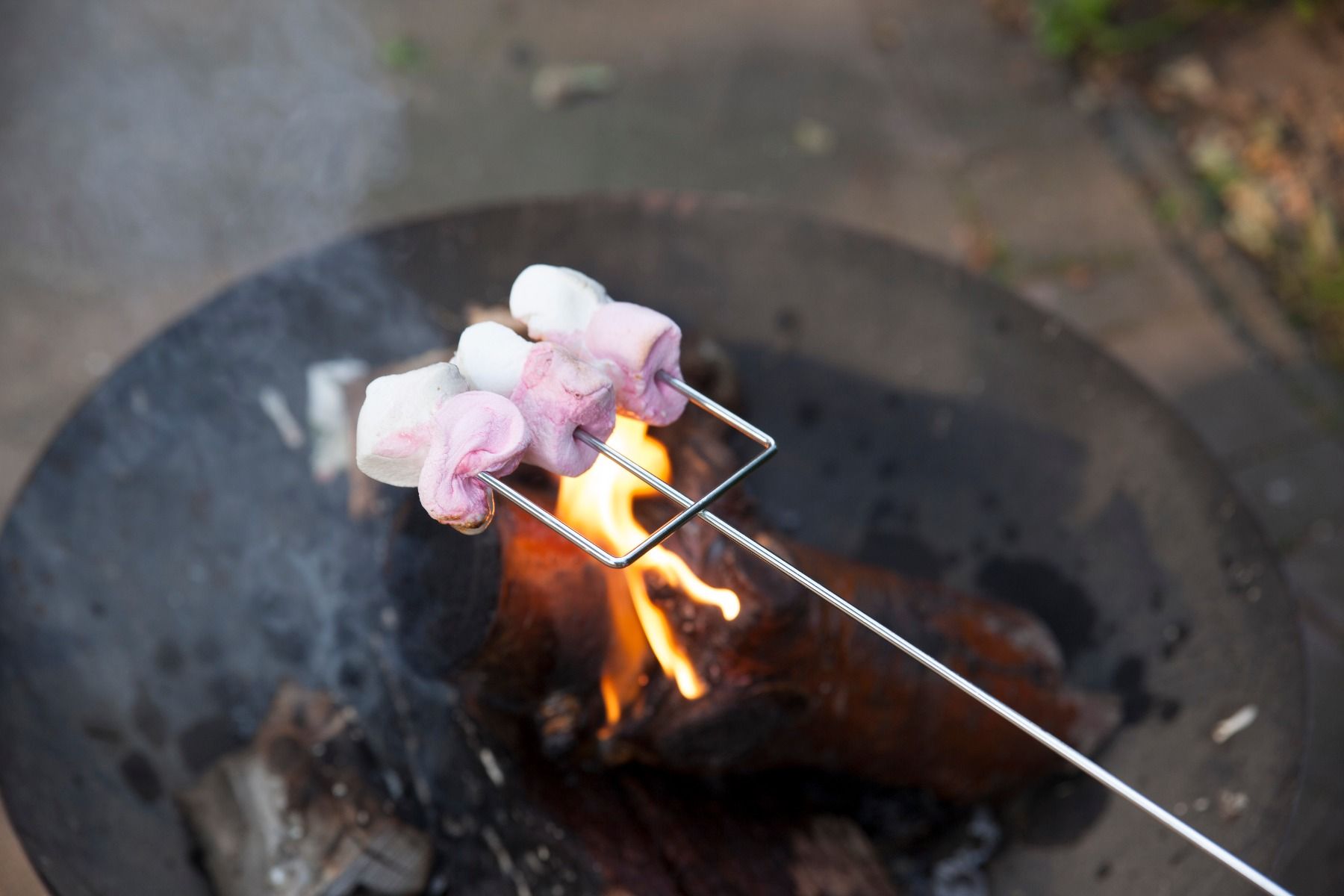 Esschert Marshmallow-Spieß (pro Stück)